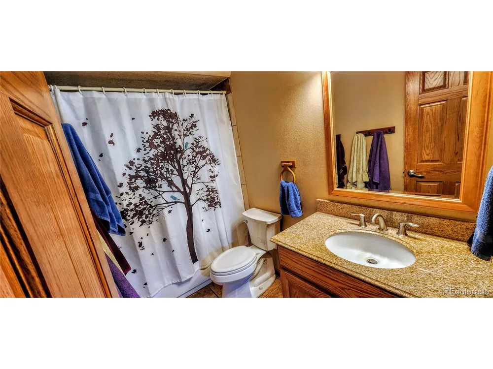 562 Piney Acres Circle Dillon, CO 80435