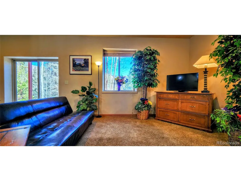 562 Piney Acres Circle Dillon, CO 80435