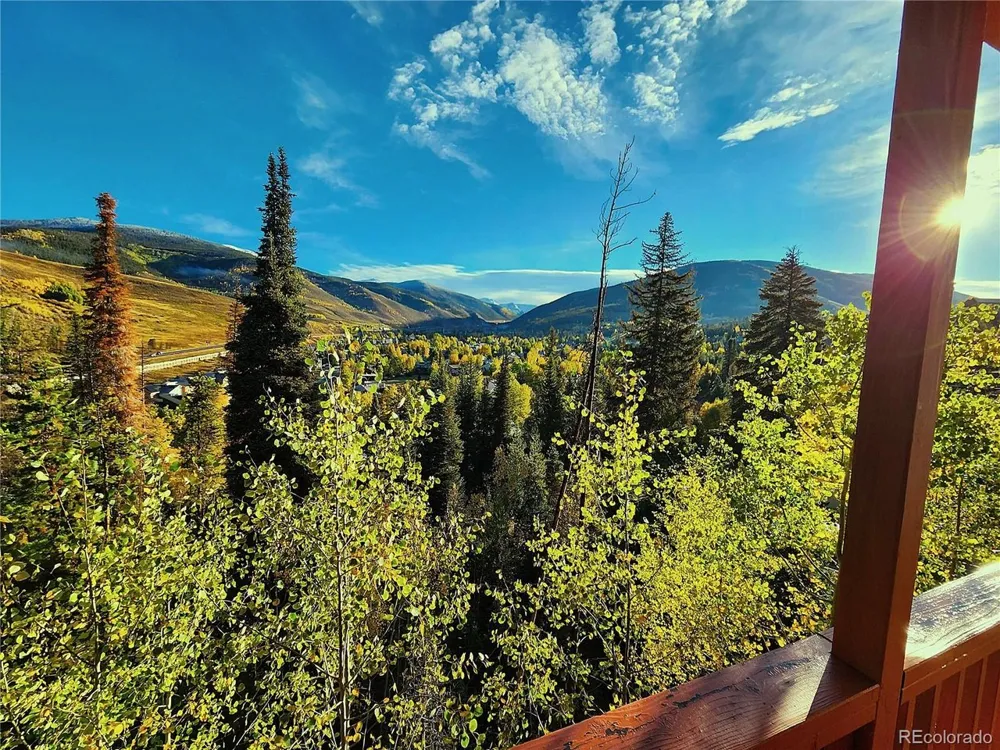 562 Piney Acres Circle Dillon, CO 80435