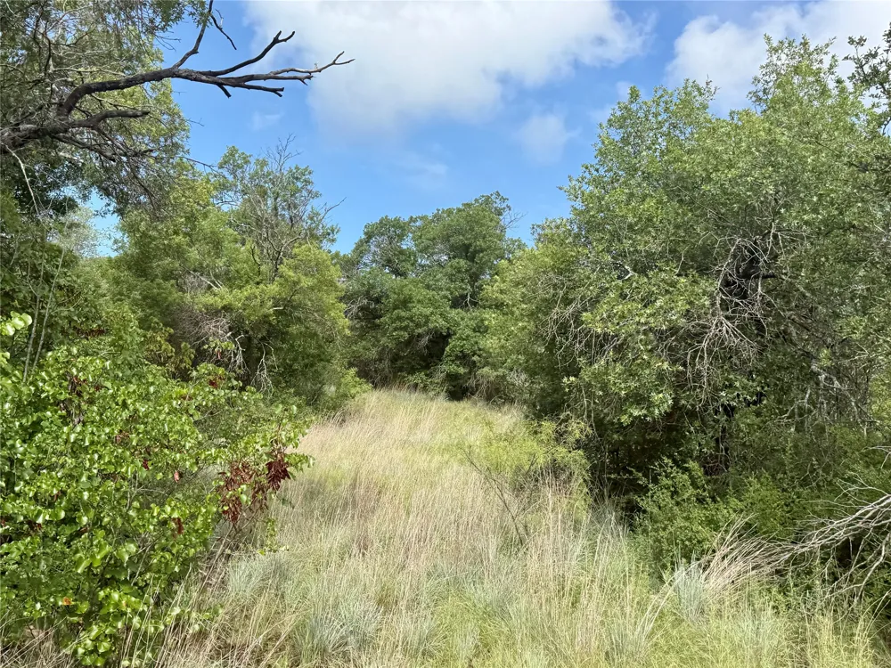 1315 County Road 419 Coleman, TX 76834