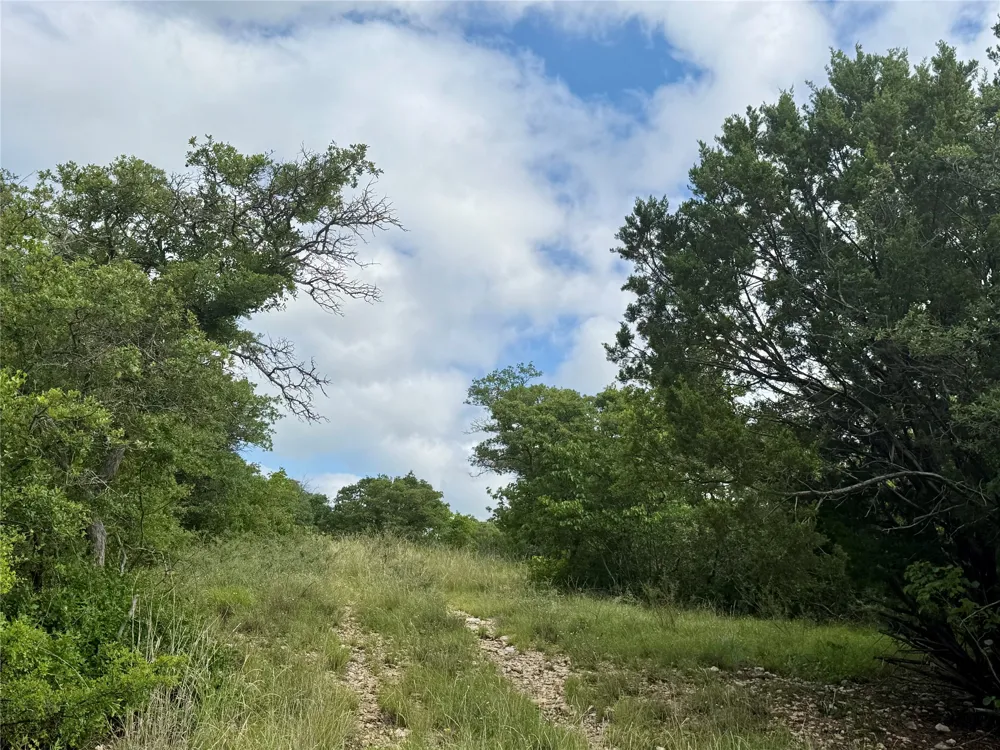 1315 County Road 419 Coleman, TX 76834