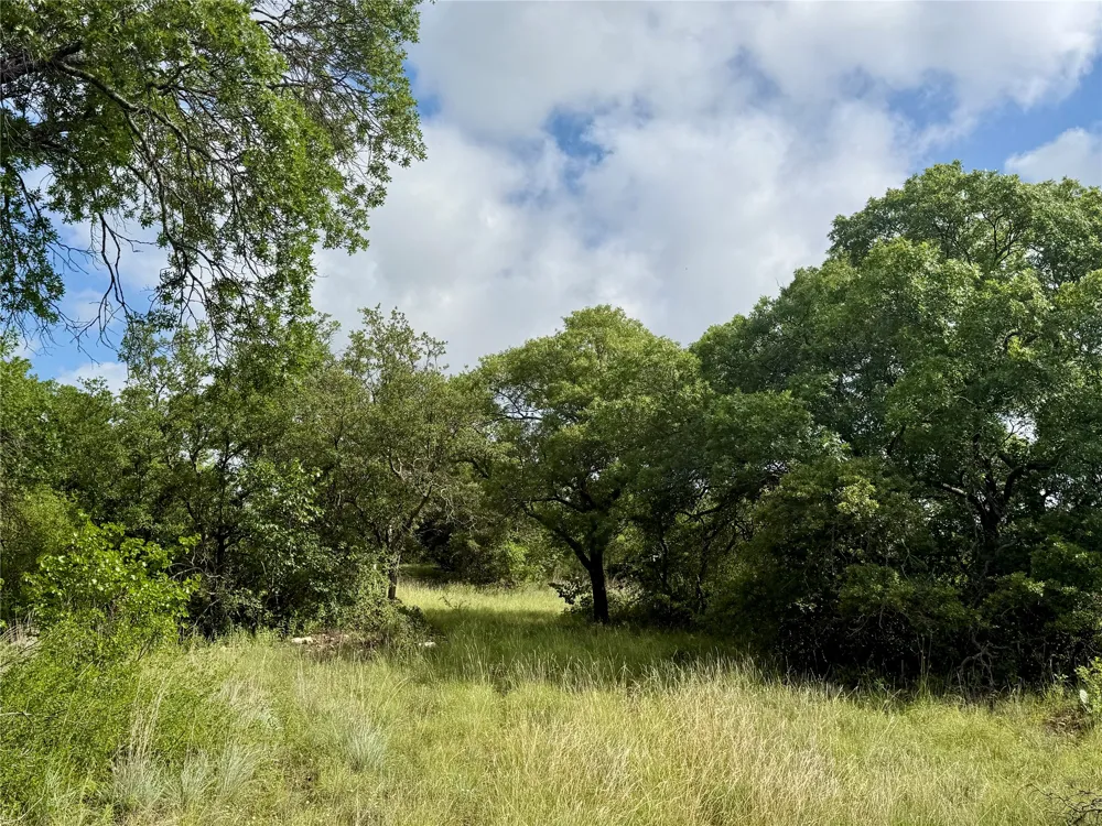1315 County Road 419 Coleman, TX 76834