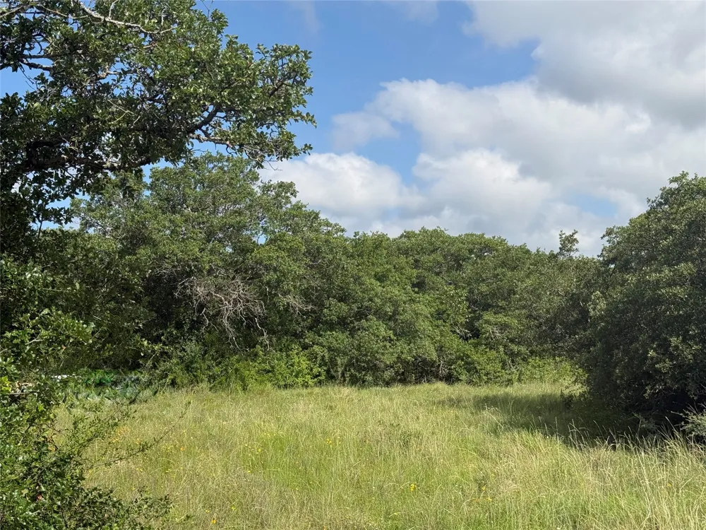 1315 County Road 419 Coleman, TX 76834