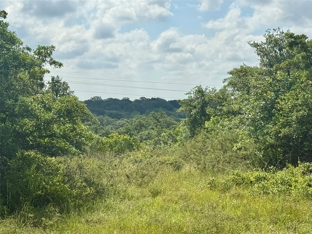 1315 County Road 419 Coleman, TX 76834