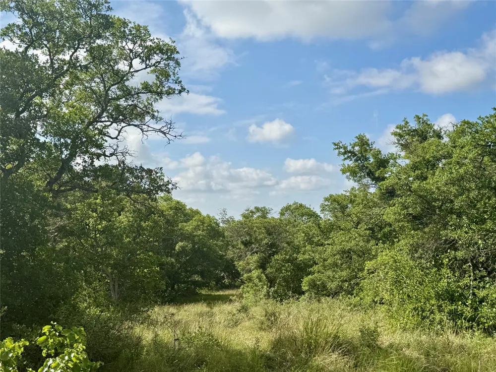 1315 County Road 419 Coleman, TX 76834