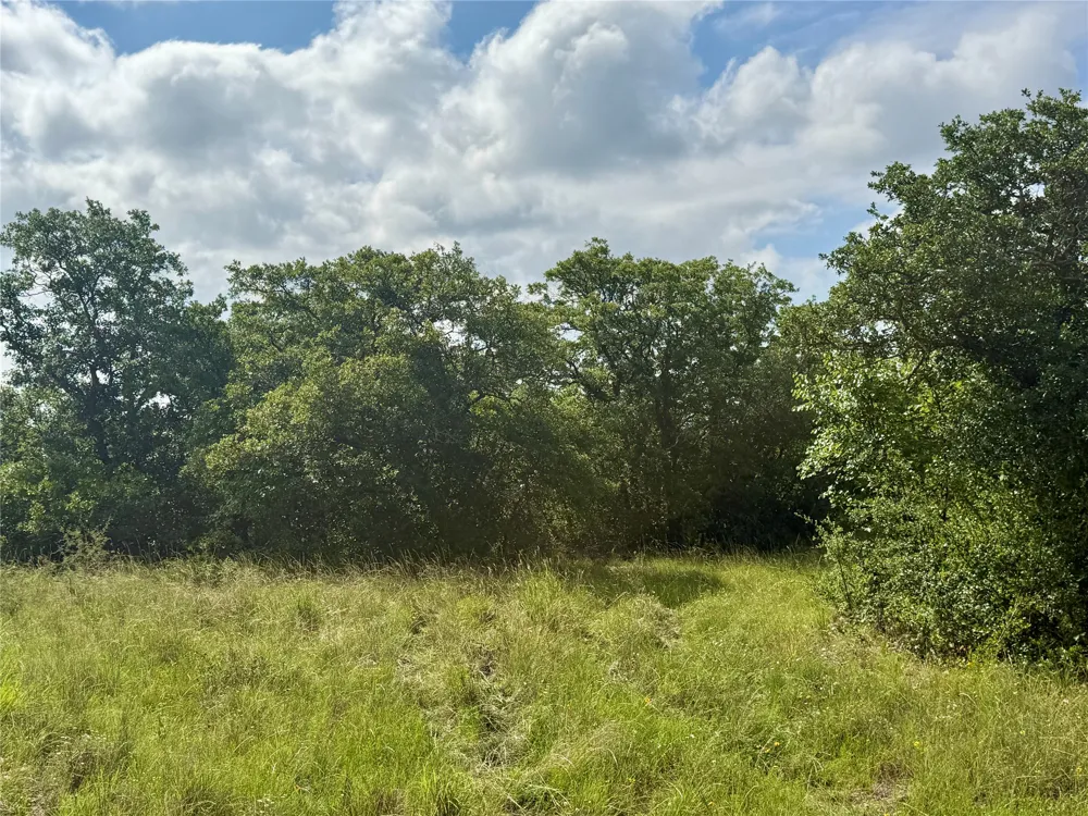 1315 County Road 419 Coleman, TX 76834