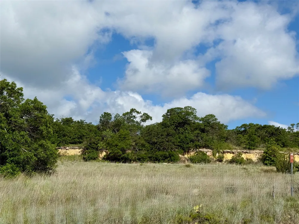 1315 County Road 419 Coleman, TX 76834