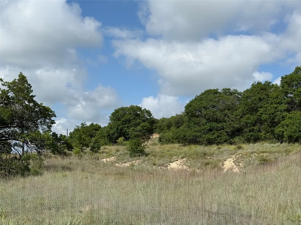 1315 County Road 419 Coleman, TX 76834