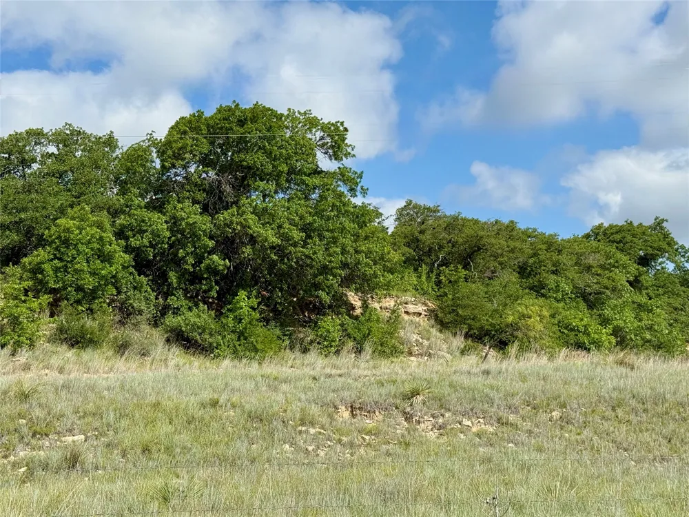 1315 County Road 419 Coleman, TX 76834
