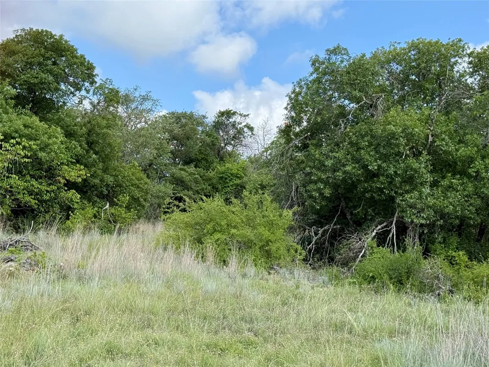 1315 County Road 419 Coleman, TX 76834