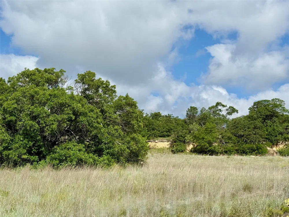 1315 County Road 419 Coleman, TX 76834