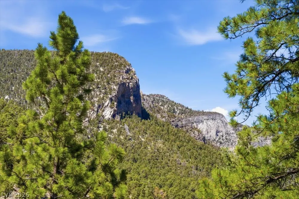 3940 White Fir Way Mount Charleston, NV 89124