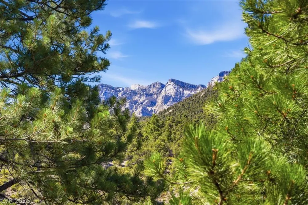 3940 White Fir Way Mount Charleston, NV 89124