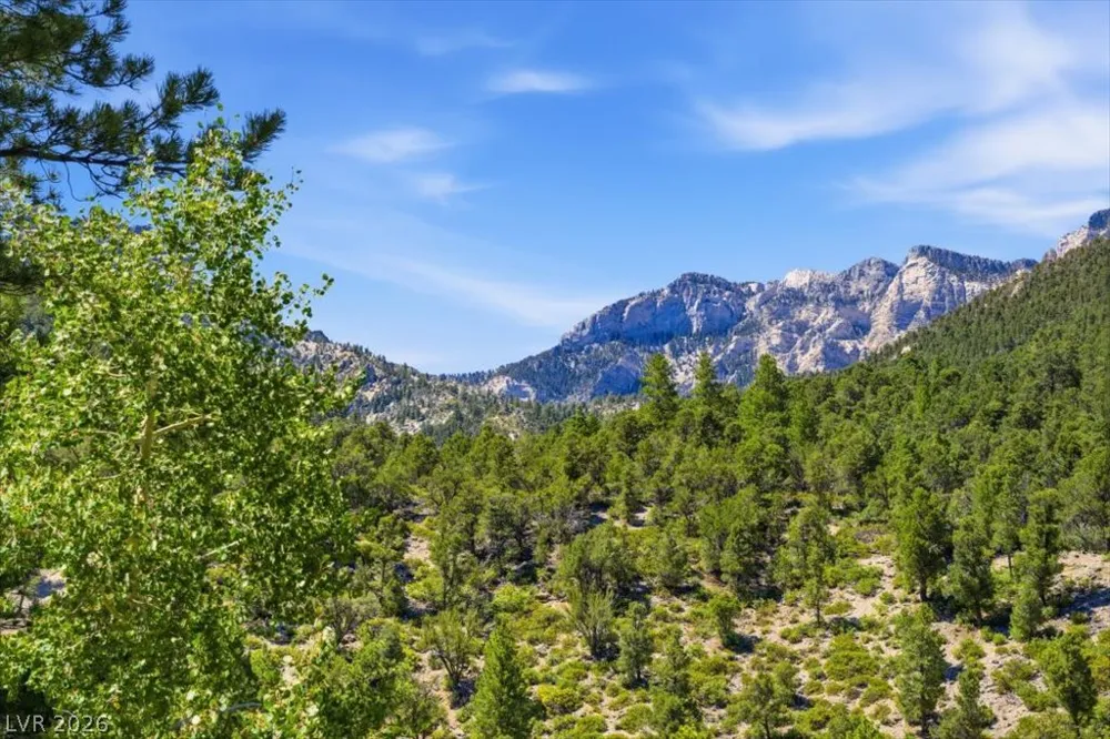 3940 White Fir Way Mount Charleston, NV 89124
