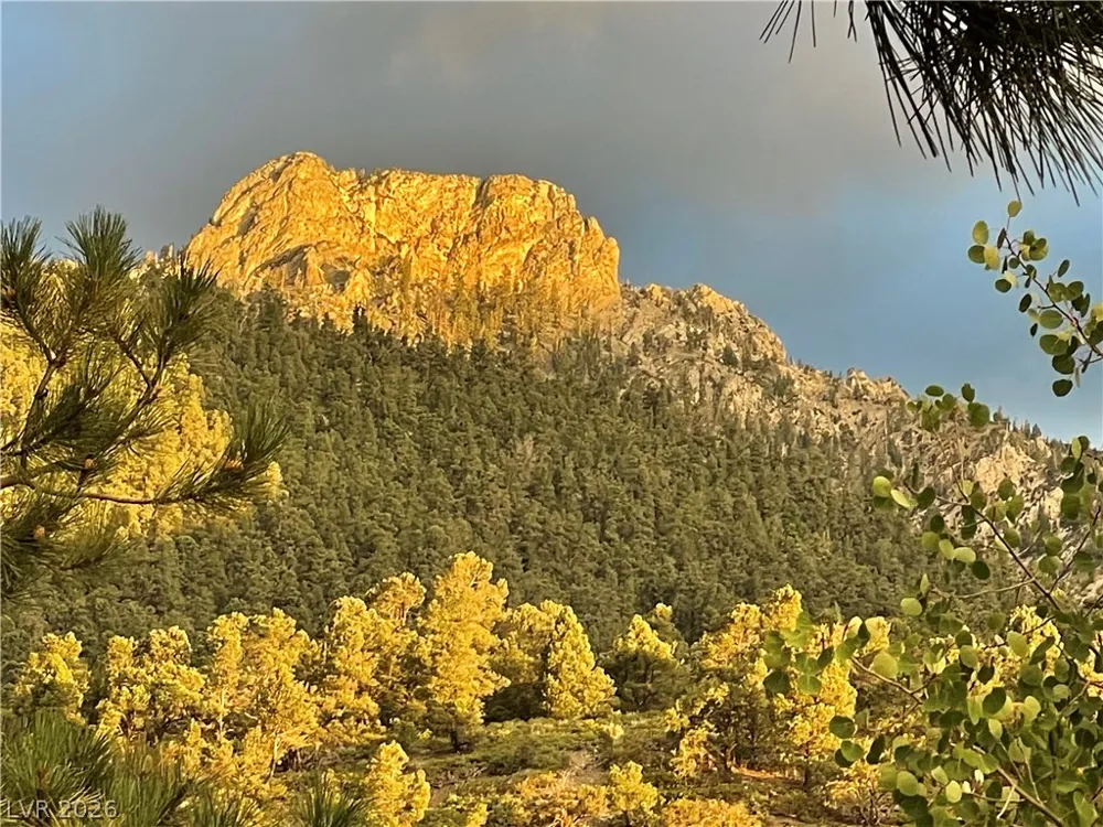 3940 White Fir Way Mount Charleston, NV 89124