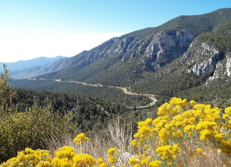 3940 White Fir Way Mount Charleston, NV 89124