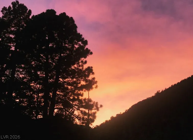 3940 White Fir Way Mount Charleston, NV 89124