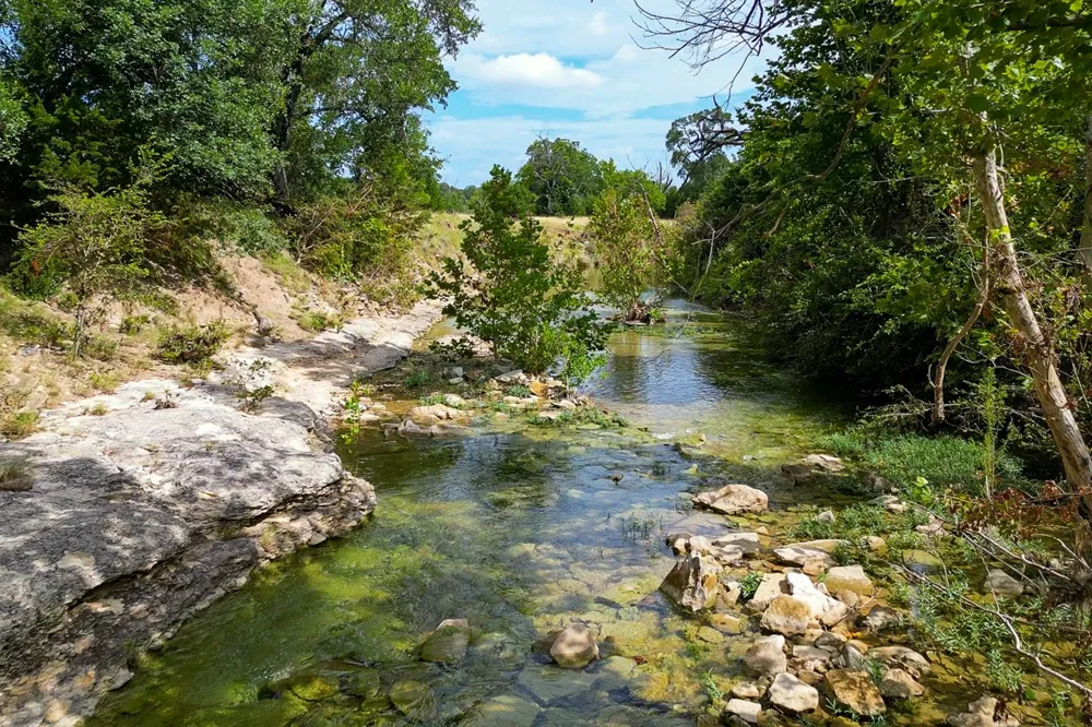 1315 Crossfire Trail Killeen, TX 76542
