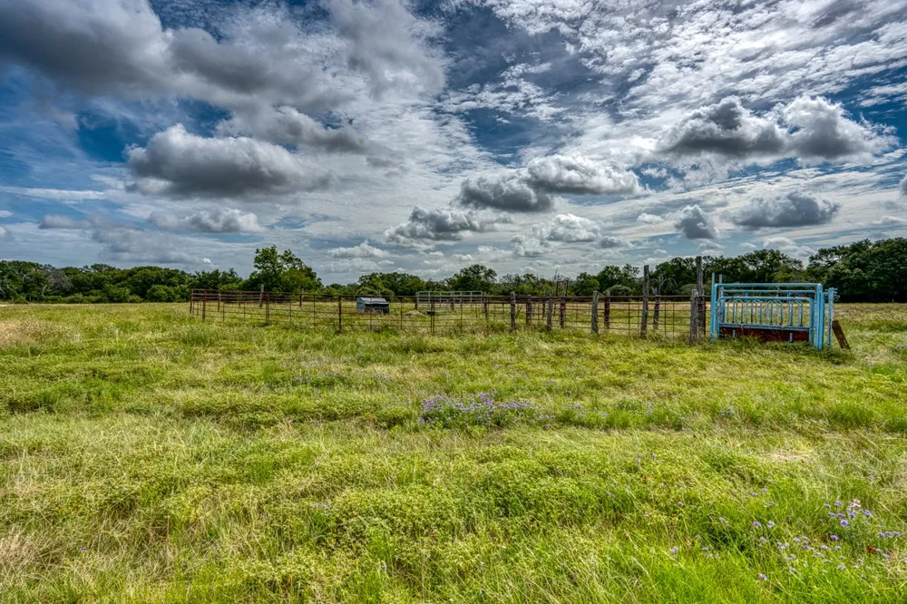 1315 Crossfire Trail Killeen, TX 76542