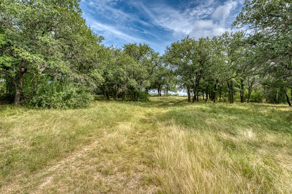 1315 Crossfire Trail Killeen, TX 76542