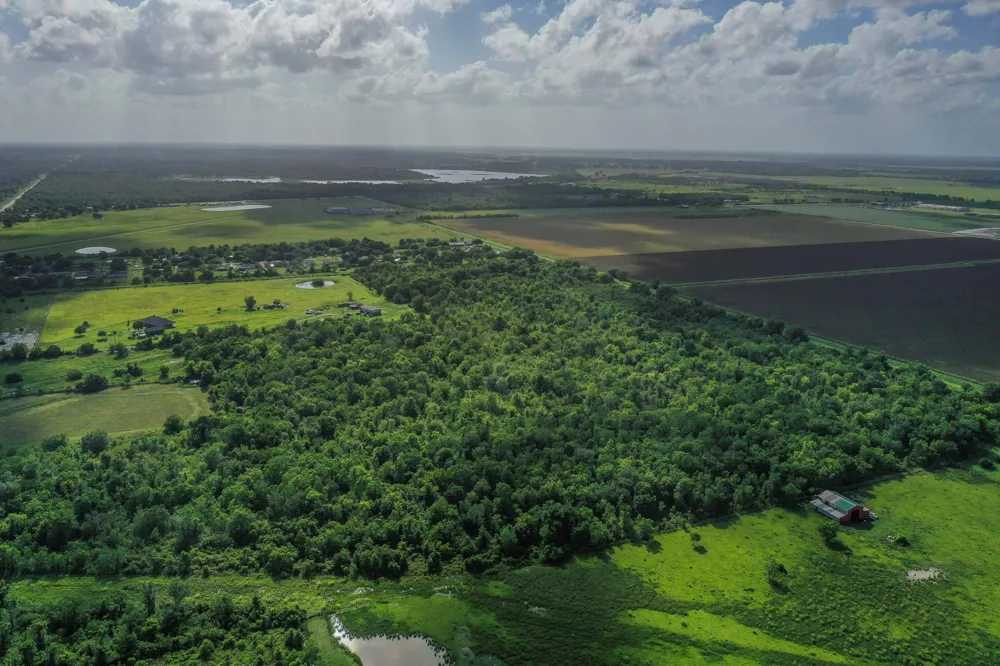 Fm 1462 Rosharon, TX 77583