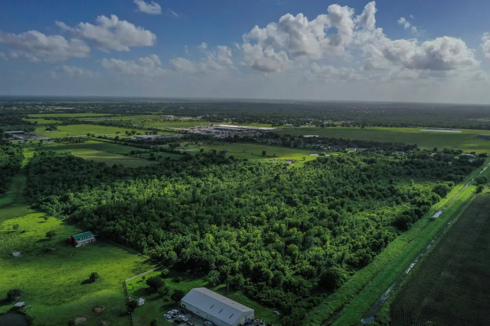 Fm 1462 Rosharon, TX 77583