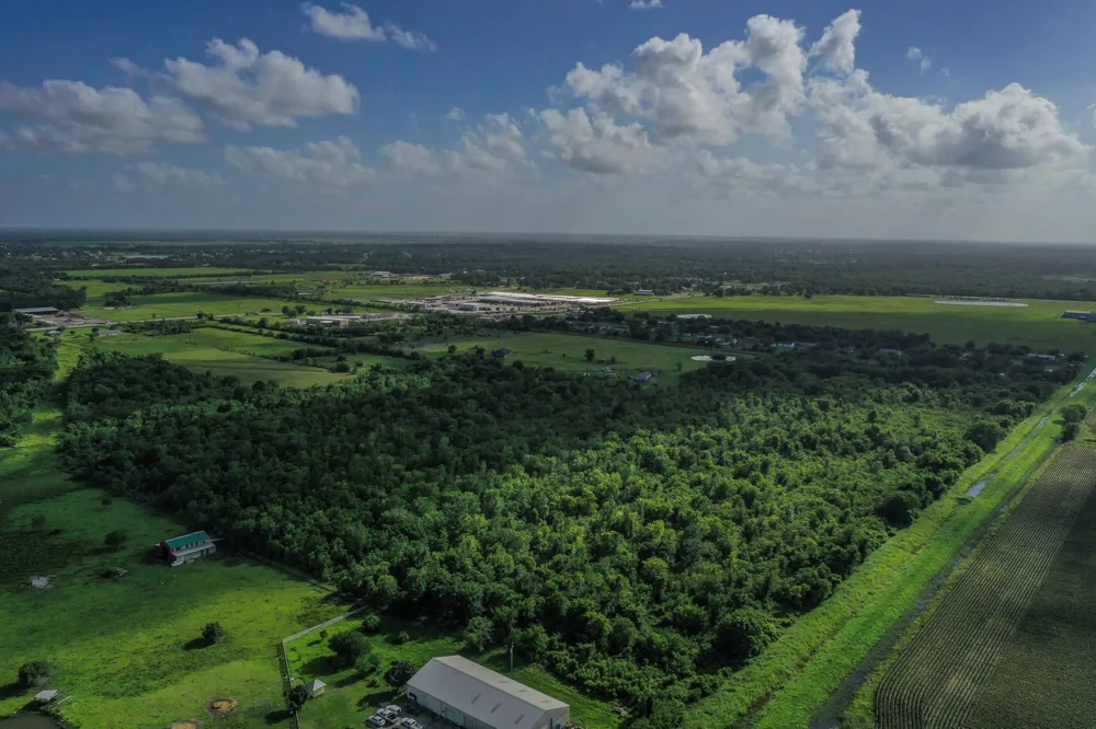Fm 1462 Rosharon, TX 77583