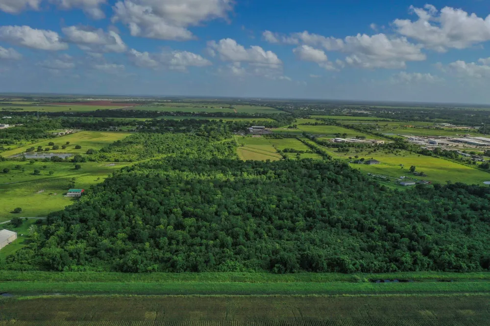 Fm 1462 Rosharon, TX 77583