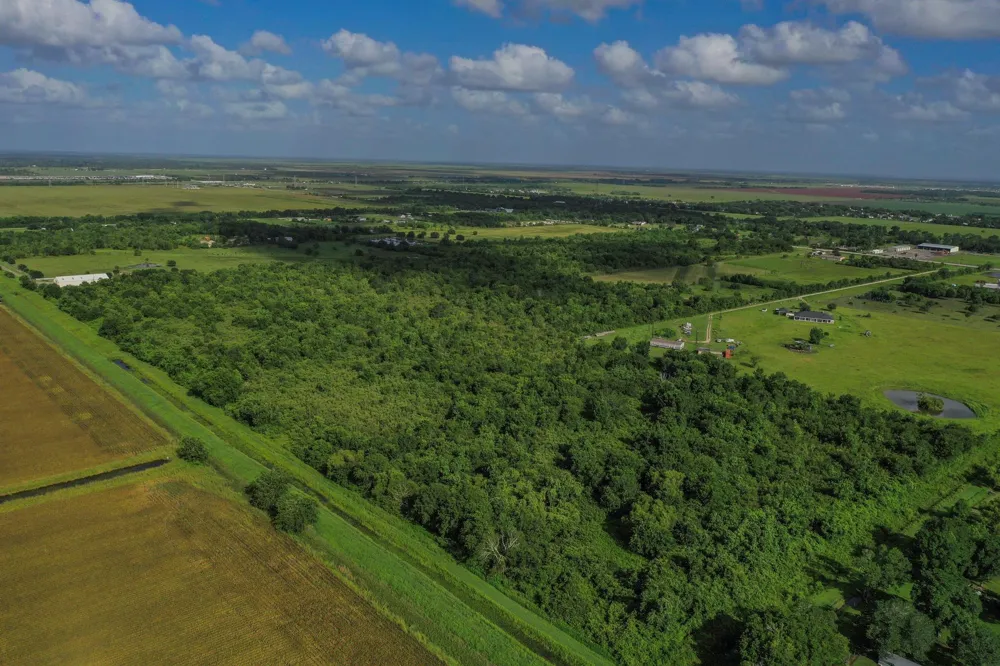 Fm 1462 Rosharon, TX 77583