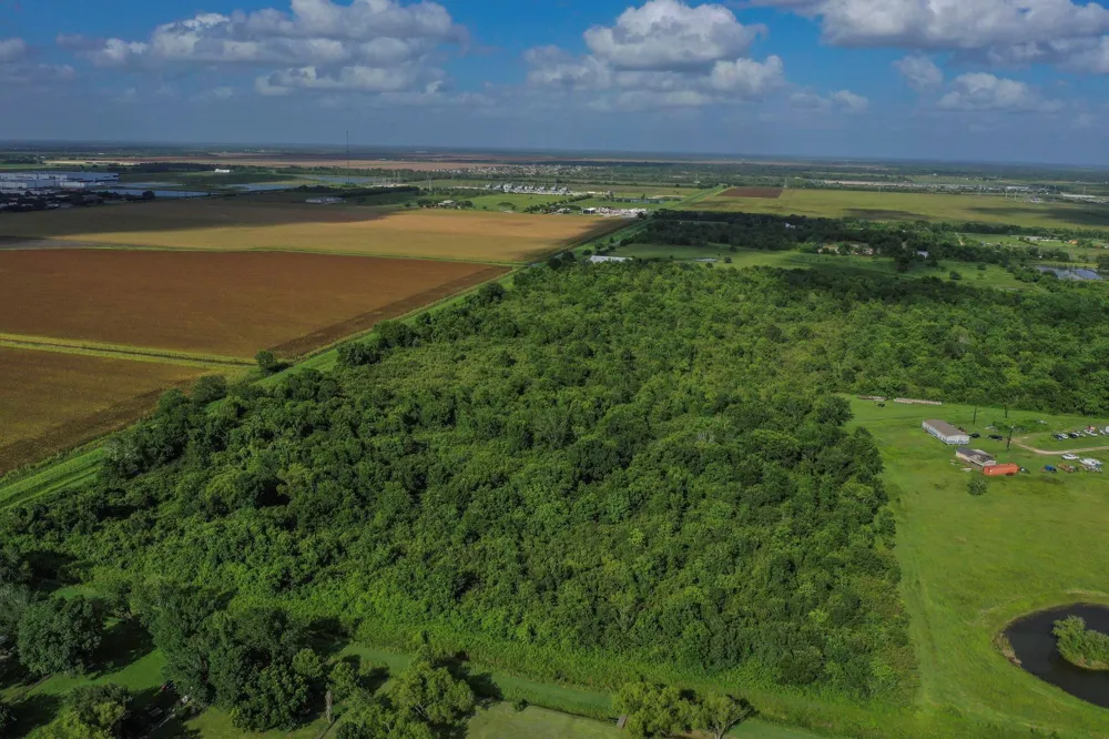 Fm 1462 Rosharon, TX 77583