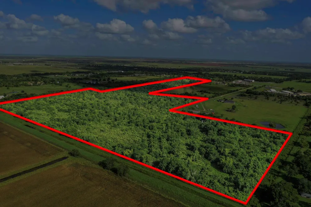 Fm 1462 Rosharon, TX 77583