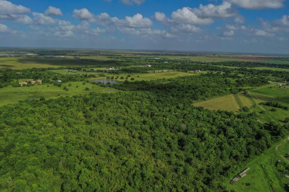 Fm 1462 Rosharon, TX 77583