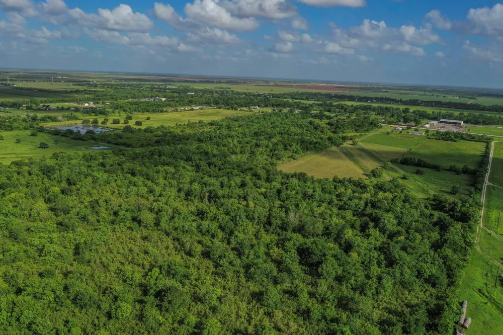Fm 1462 Rosharon, TX 77583