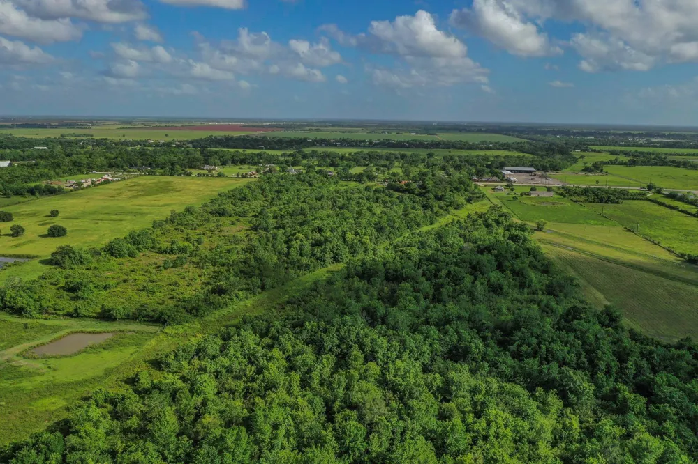 Fm 1462 Rosharon, TX 77583