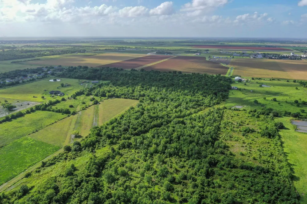 Fm 1462 Rosharon, TX 77583