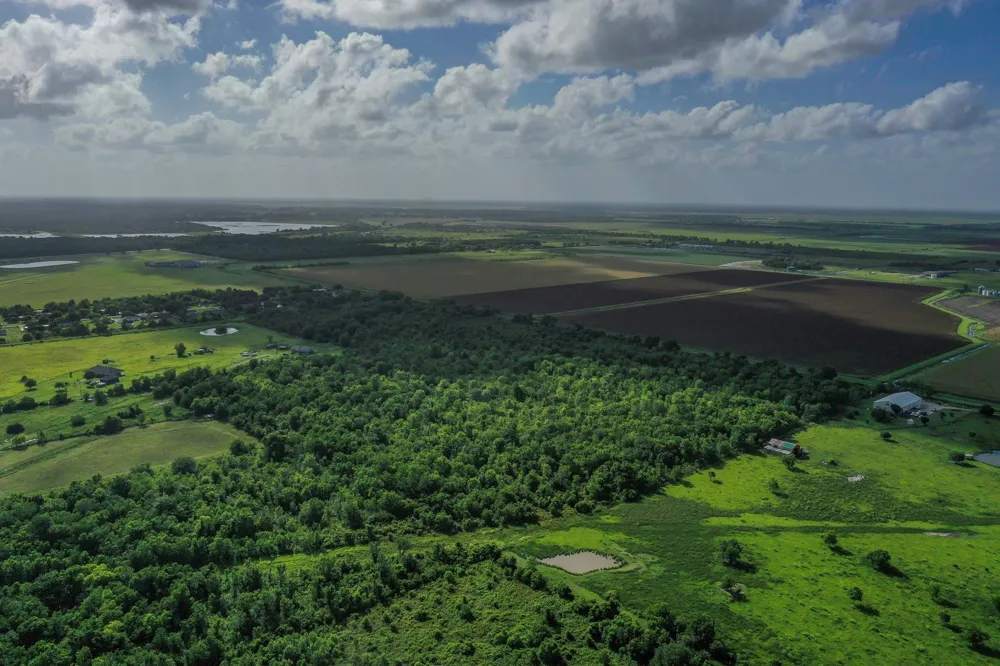 Fm 1462 Rosharon, TX 77583