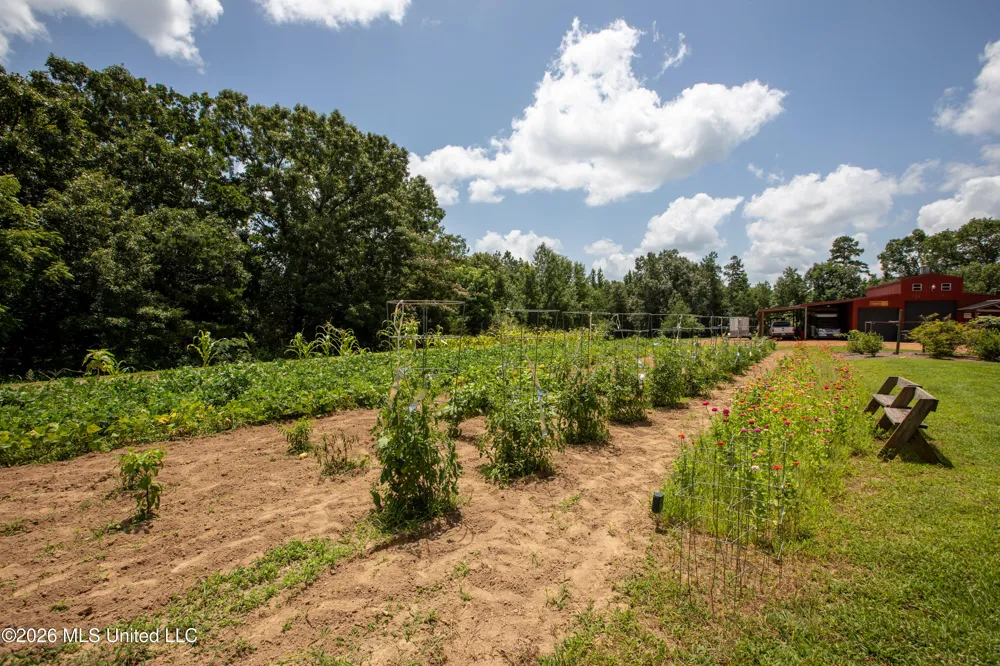 828 Little Egypt Road Ashland, MS 38603