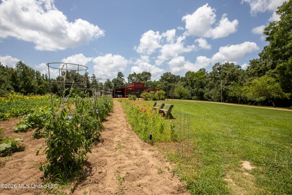 828 Little Egypt Road Ashland, MS 38603