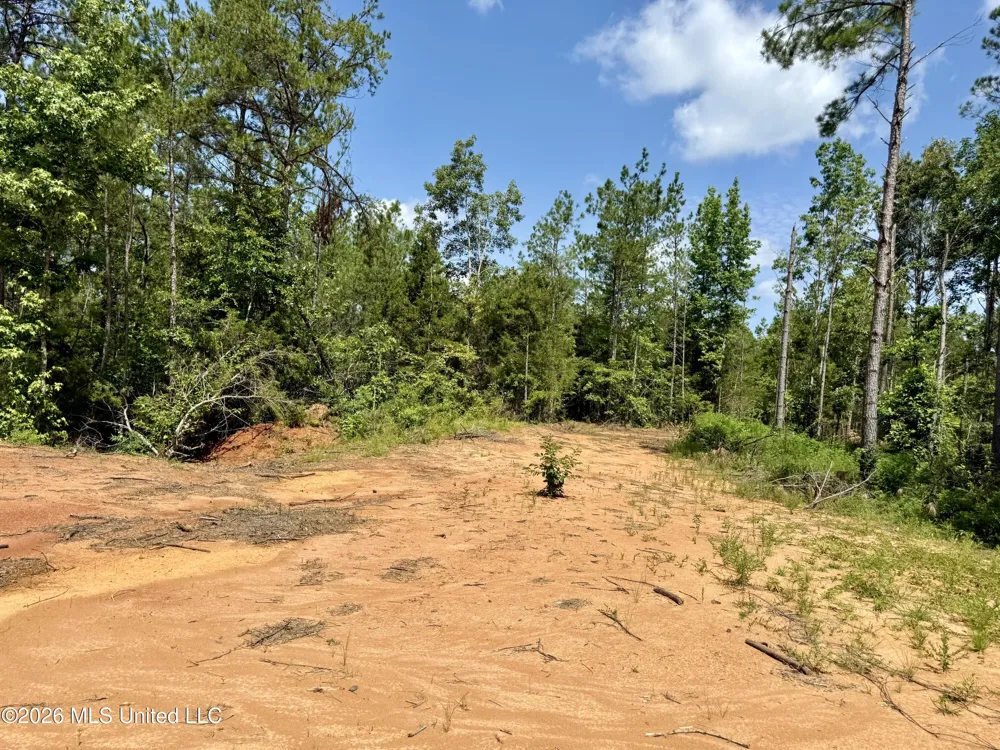 828 Little Egypt Road Ashland, MS 38603