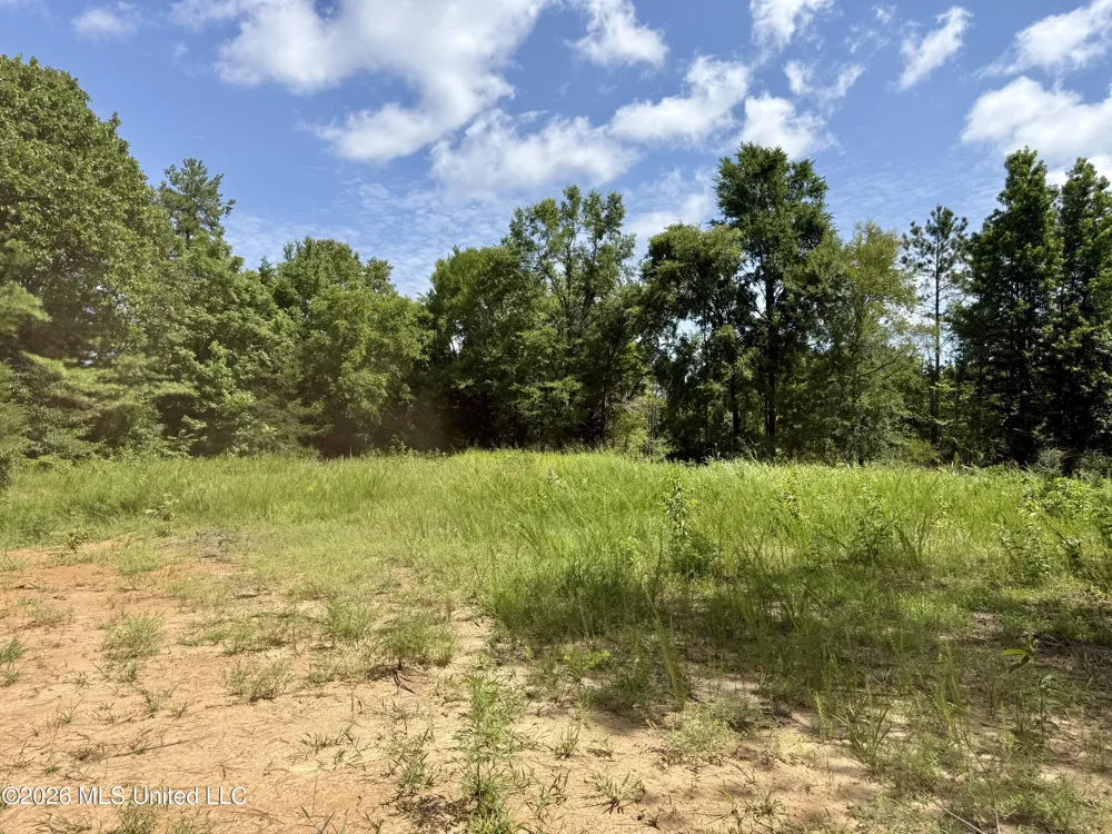 828 Little Egypt Road Ashland, MS 38603
