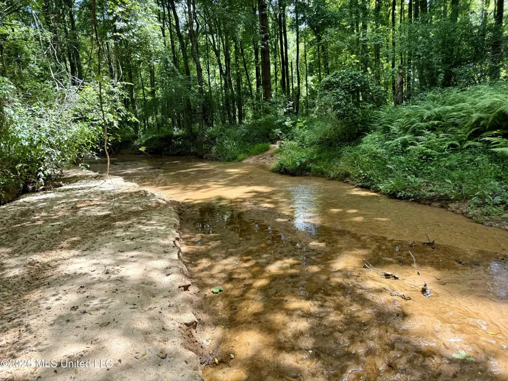 828 Little Egypt Road Ashland, MS 38603