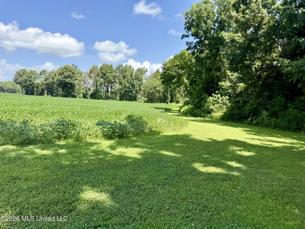 828 Little Egypt Road Ashland, MS 38603