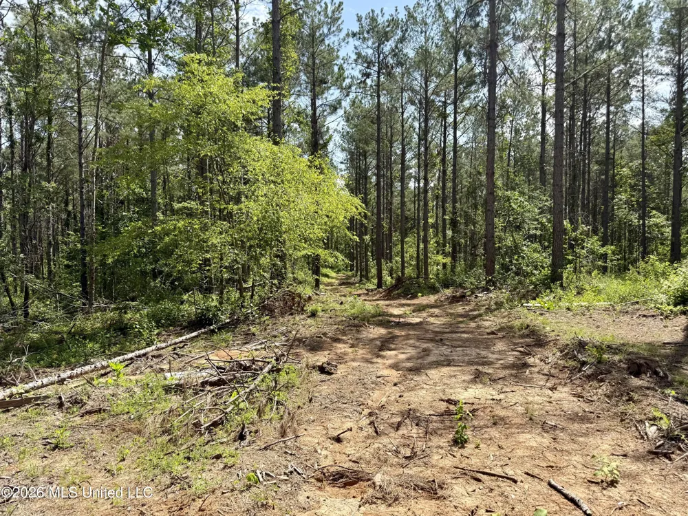 828 Little Egypt Road Ashland, MS 38603