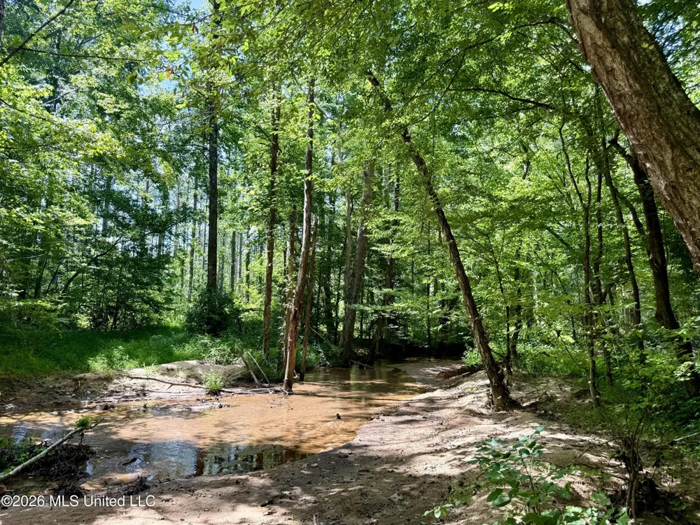 828 Little Egypt Road Ashland, MS 38603
