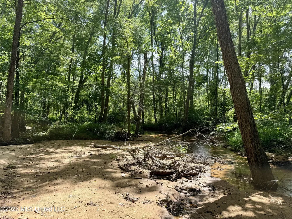 828 Little Egypt Road Ashland, MS 38603