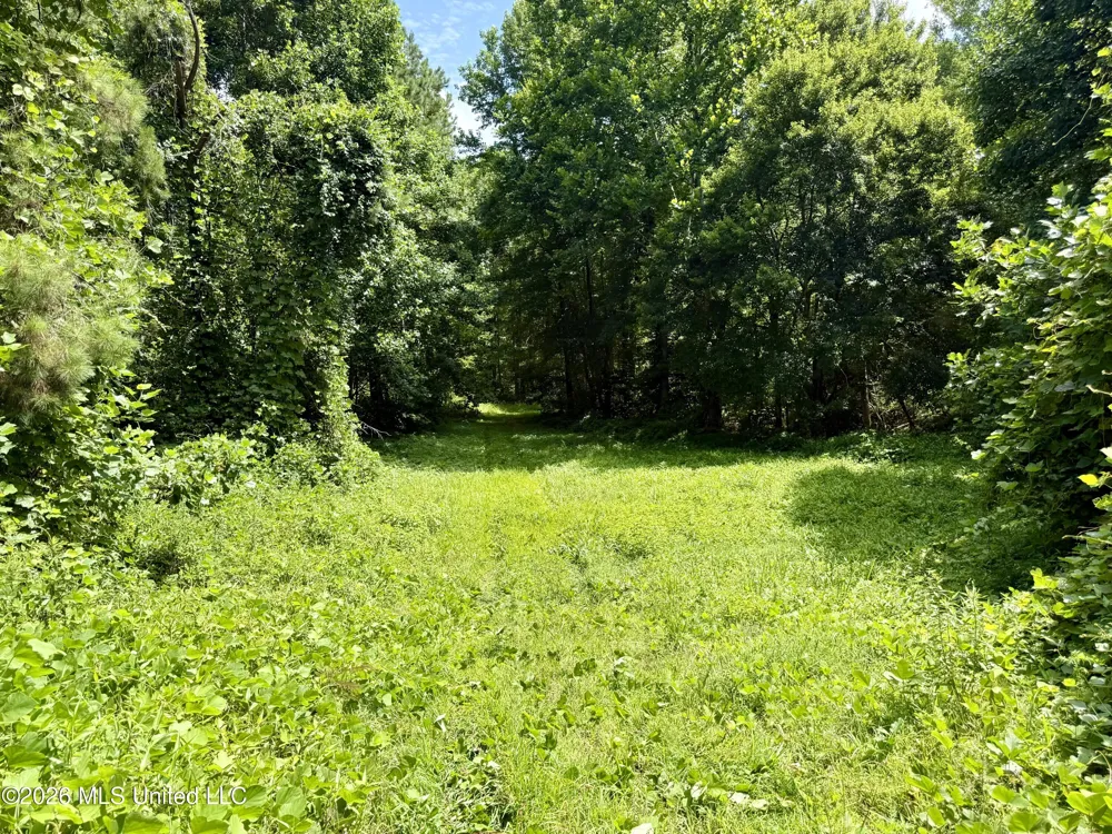828 Little Egypt Road Ashland, MS 38603