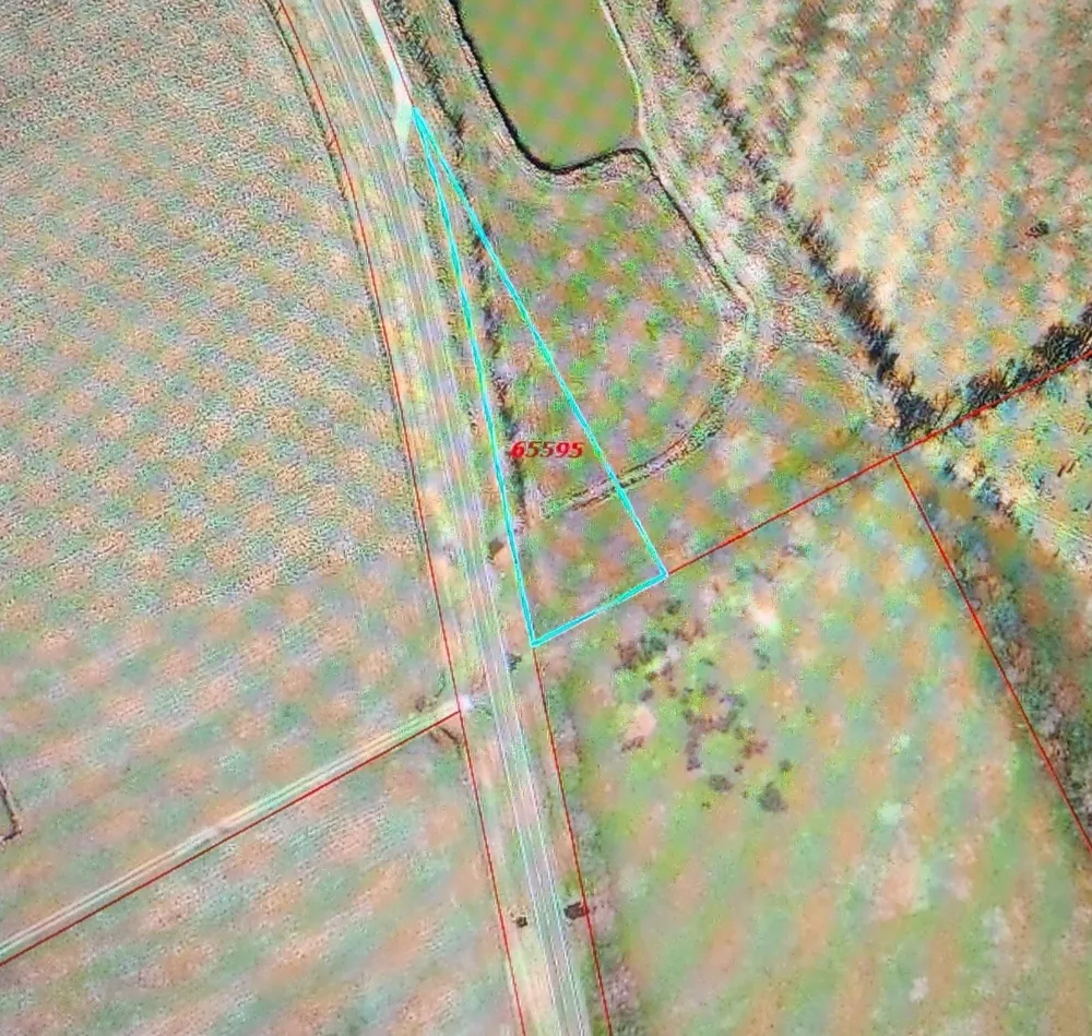 12057 Fm 638 Dawson, TX 76639