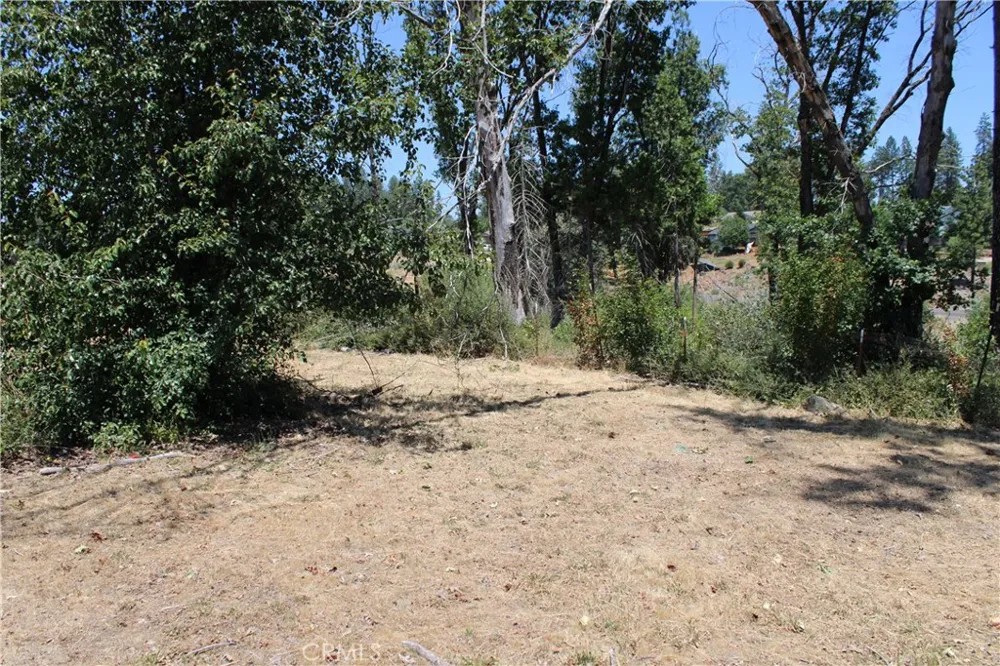 5678 Clara Paradise, CA 95969
