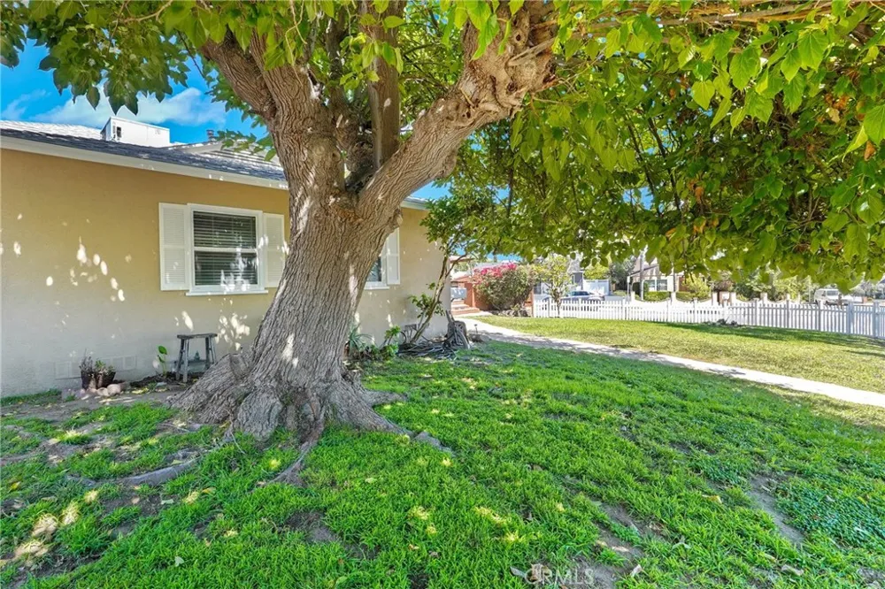 2800 Jolley Drive Burbank, CA 91504