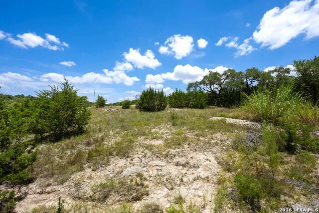 34705 Mayer Oaks Bulverde, TX 78163